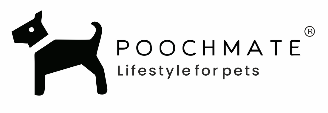 Packnest