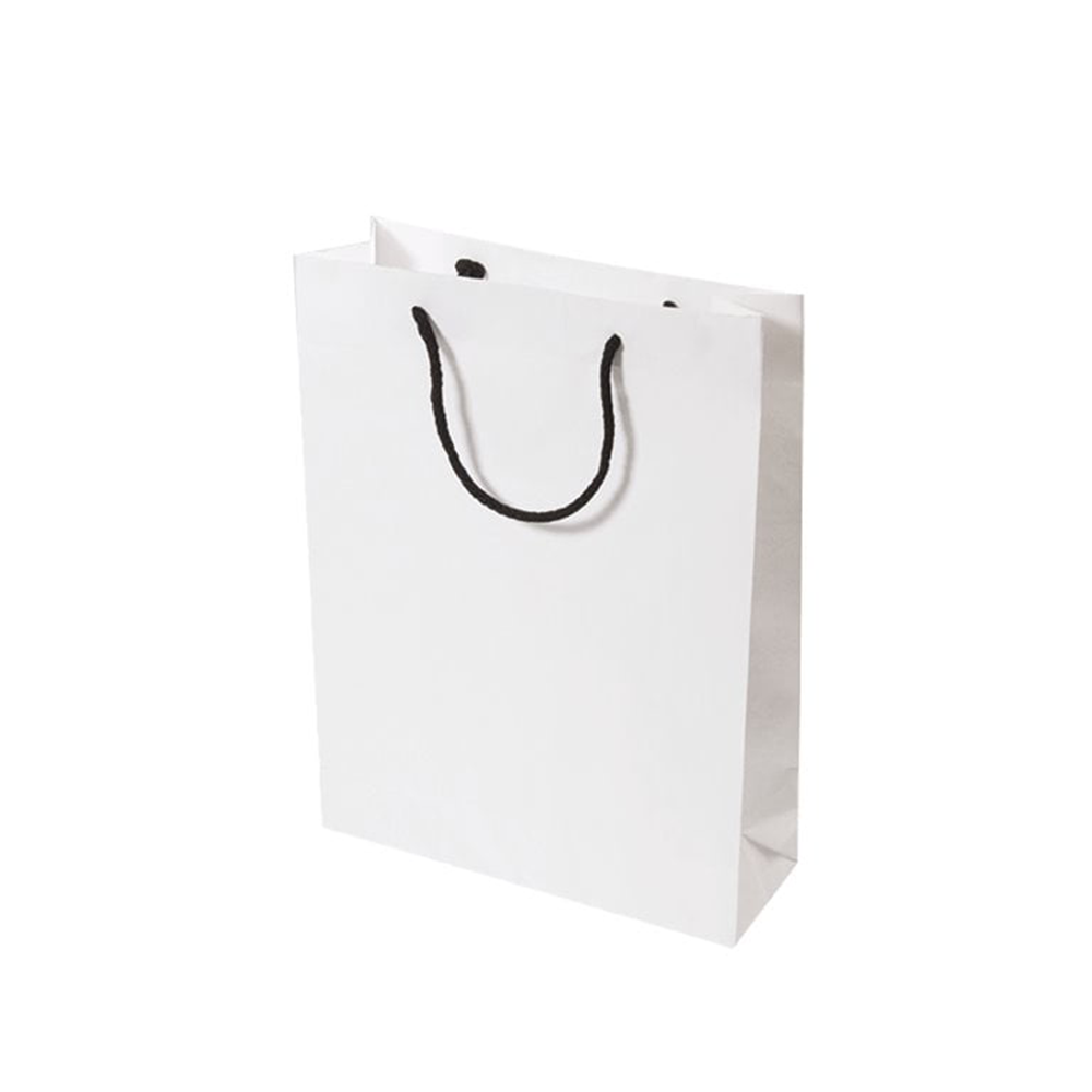 9 x 3 x 15 inch Paper Carry Bags White